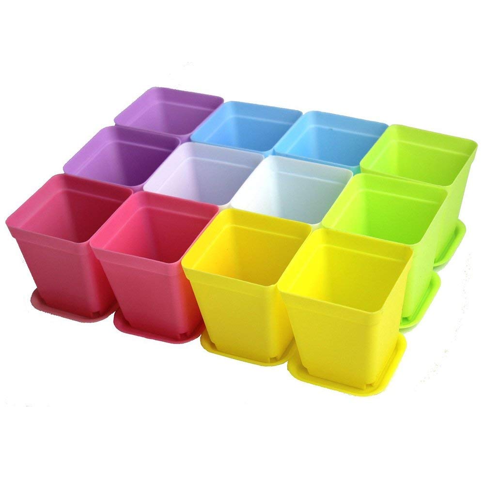 3.0'' Plastic Nursery Pots Colorful