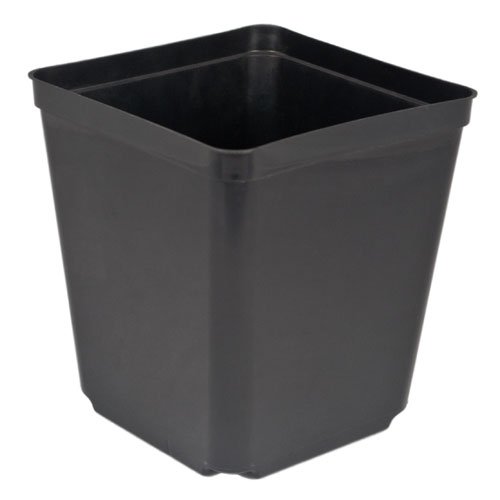 5.5'' Plastic Nursery Pots